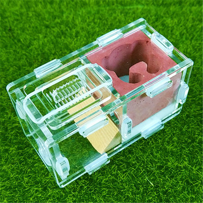 Cuibul de furnici de gips Cuib de furnici Atelier de vilă Pyramid Hill Imitație ecologică Acrilic Cuib de furnici