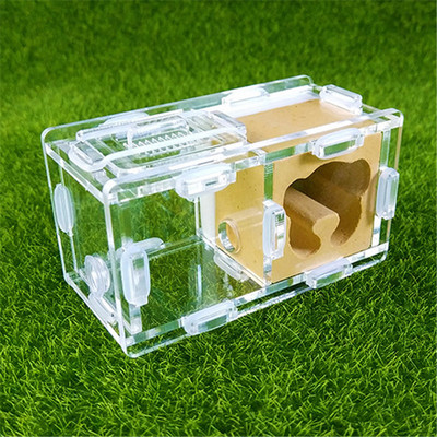 Cuibul de furnici de gips Cuib de furnici Atelier de vilă Pyramid Hill Imitație ecologică Acrilic Cuib de furnici