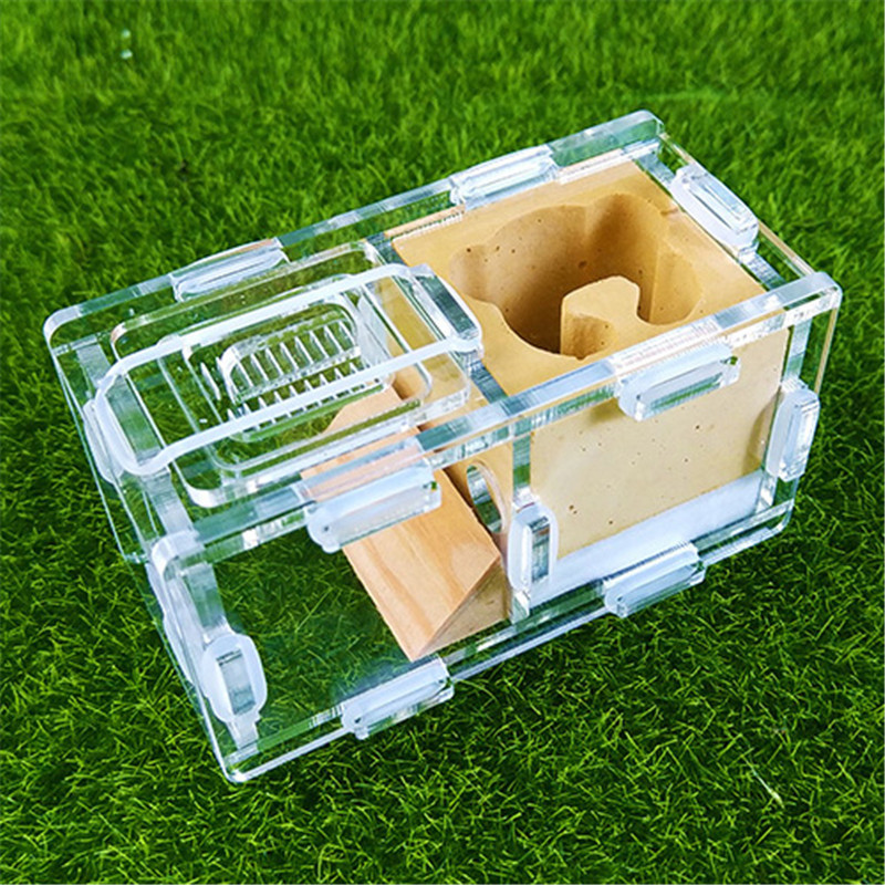 Cuibul de furnici de gips Cuib de furnici Atelier de vilă Pyramid Hill Imitație ecologică Acrilic Cuib de furnici