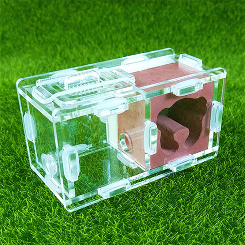 Cuibul de furnici de gips Cuib de furnici Atelier de vilă Pyramid Hill Imitație ecologică Acrilic Cuib de furnici