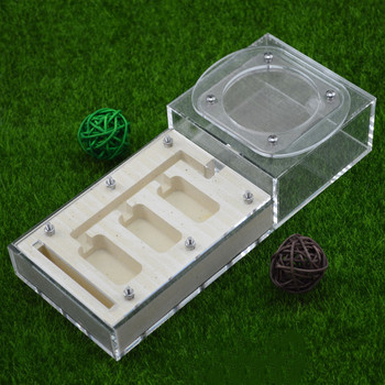 Diy With Feeding Area Ant Nest , Ant Farm Acryl, Insect Ant Nests Villa Pet Mania for House Ants