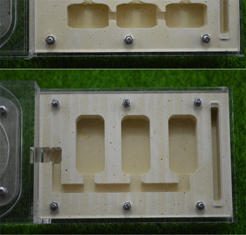 Ise ise söötmisalaga sipelgapesa, sipelgafarmi akrüül, putuka sipelgapesad Villa lemmikloomamaania kodusipelgatele