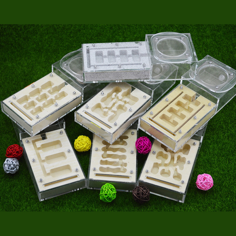 Ise ise söötmisalaga sipelgapesa, sipelgafarmi akrüül, putuka sipelgapesad Villa lemmikloomamaania kodusipelgatele