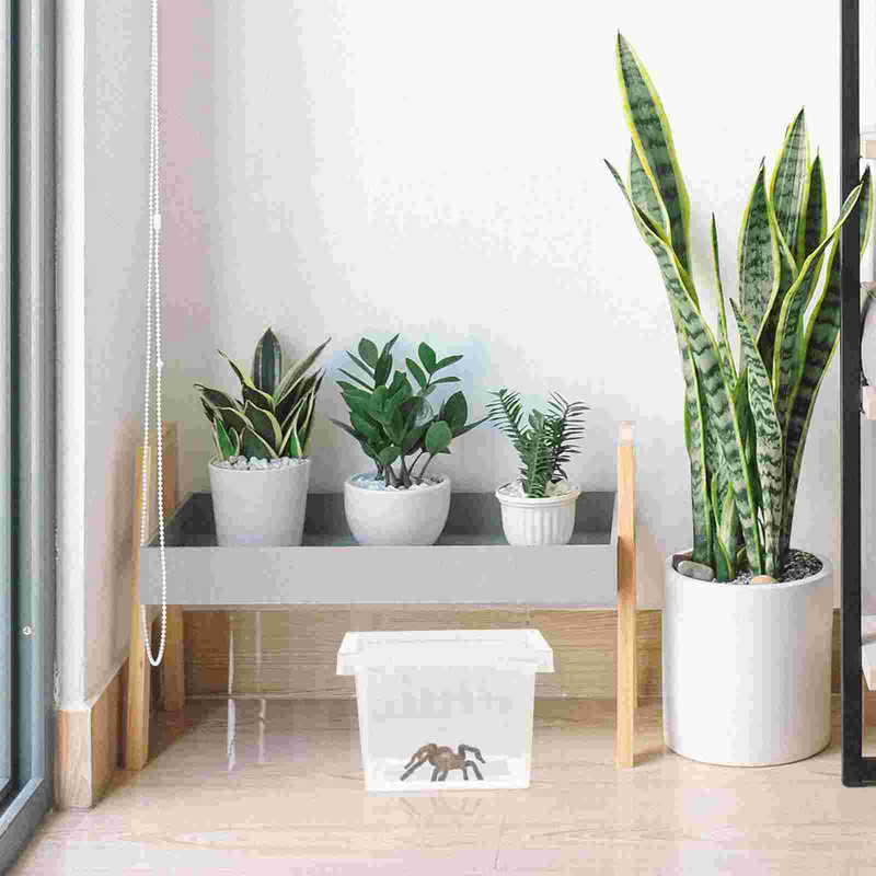 1 Pc Practical Clear Portable Durable Reptile Breeding Box Κουτί τροφοδοσίας κατοικίδιων για το Office Home Shop