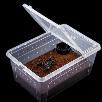 1 ΤΕΜ Διαφανές κουτί διατροφής Reptile Box Amphibian for Snake Cage Lizard Spider Reptile Combination