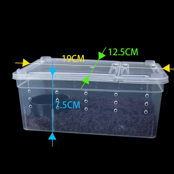 1 ΤΕΜ Διαφανές κουτί διατροφής Reptile Box Amphibian for Snake Cage Lizard Spider Reptile Combination