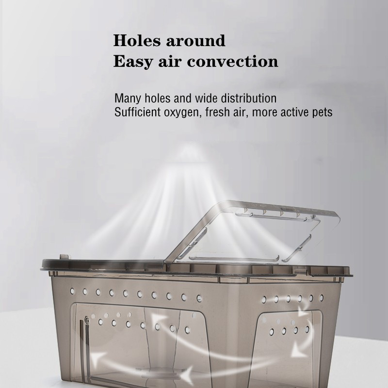 Roplių veisimo dėžutės vėžlys driežas gyvatės terariumo bakas, didelis skaidrus roplių šilumą izoliuojantis dėžutė roplių terariumo dekoras