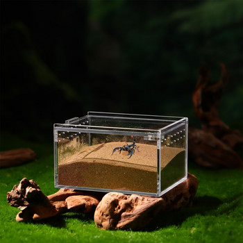 Reptile Box Breeding Tank Feeding Forterrarium Διάφανο περίβλημα θήκης κοντέινερ Κρίκετ Isolated Crab Tarantula Habitat