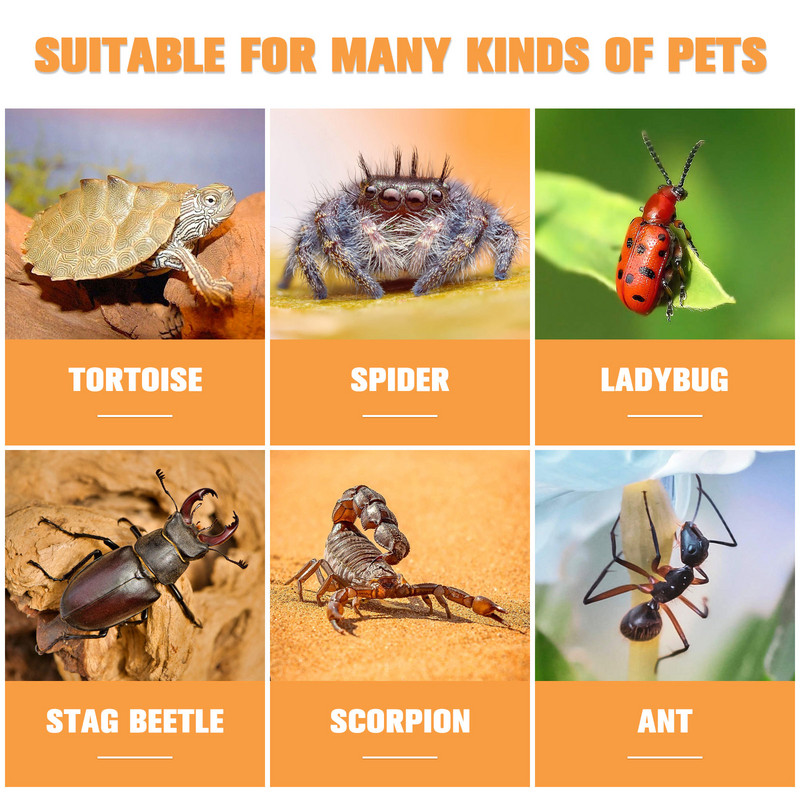 Reptile Box Breeding Tank Feeding Forterrarium Διάφανο περίβλημα θήκης κοντέινερ Κρίκετ Isolated Crab Tarantula Habitat