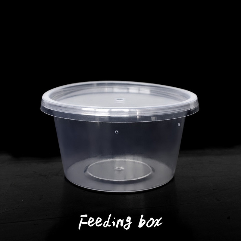 100 buc. Cutie rotundă de hrănire, cușcă transparentă pentru reptile, container pentru incubație pentru păianjen șopârlă broască greier țestoasă crab gustare