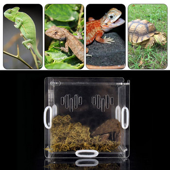 Τελευταίο κουτί αναπαραγωγής ερπετών Ακρυλικό διαφανές συρόμενο κάλυμμα Reptile Tank Insect Spiders Tortoise Lizard Feeding Box Terrarium