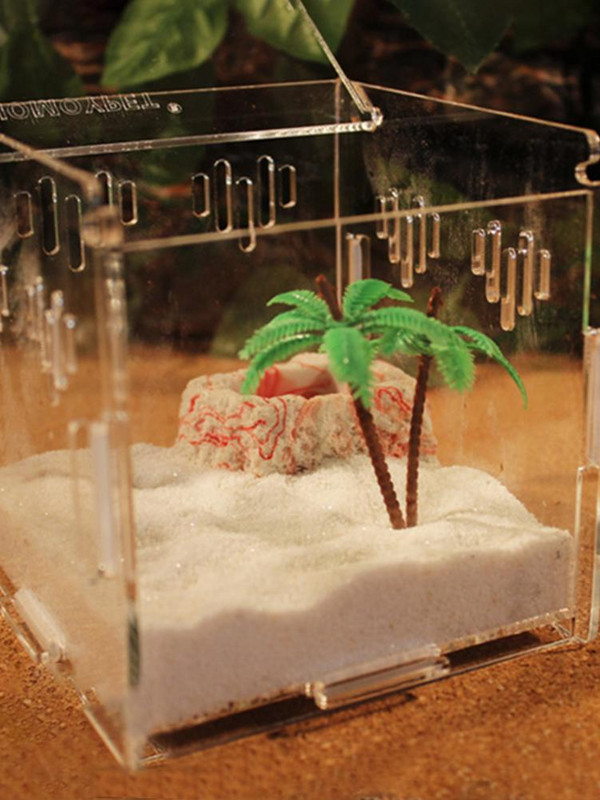 Cea mai recentă cutie de reproducție pentru reptile, acrilic, capac glisant transparent, rezervor de reptile, păianjeni, țestoasă, șopârlă, cutie de hrănire terariu