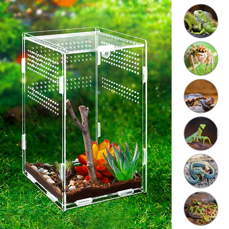 Μαγνητική ακρυλική θήκη Nano Arboreal Tarantula Περίβλημα Reptile Habitat Terrarium Breeding Box for Spider Scorpion Sling Isopods