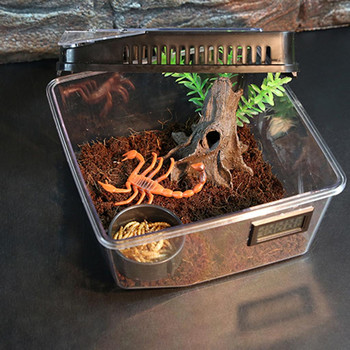 Домашни любимци Кутия за отглеждане на влечуги Терариум за костенурка змия гущер паяк змия жаба