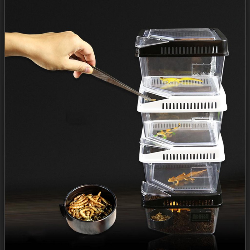 Cutie de reproducere a reptilelor pentru animale de companie Terarium pentru broasca broasca broasca broasca broasca