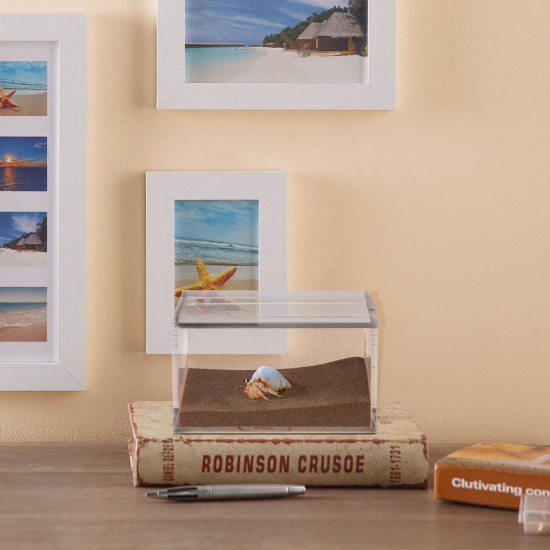 Cutie pentru reptile Tanc de reproducere Hrănire pești Terariu Container transparent Carcasă Greier Izolat Crab Tarantula Habitat