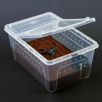 Liela rāpuļu barošanas kaste Plastmasas konteiners Kukaiņu mājdzīvnieku terārijs Transporta vaislas dzīvās barības futrālis ar rāpuļu piederumiem bļodā