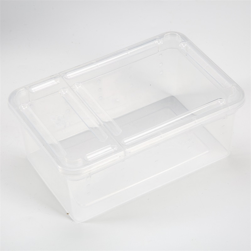 Suur roomajate söötmiskast plastikkonteiner Putukate lemmiklooma terraariumi transpordikast elustoidukarp koos kaussi roomajate tarvikutega