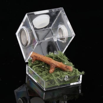 Дишаща кутия за хранене Къща за растения и насекоми Инкубатор за разсейване на топлината Паяк Терариум за влечуги за консумативи за насекоми