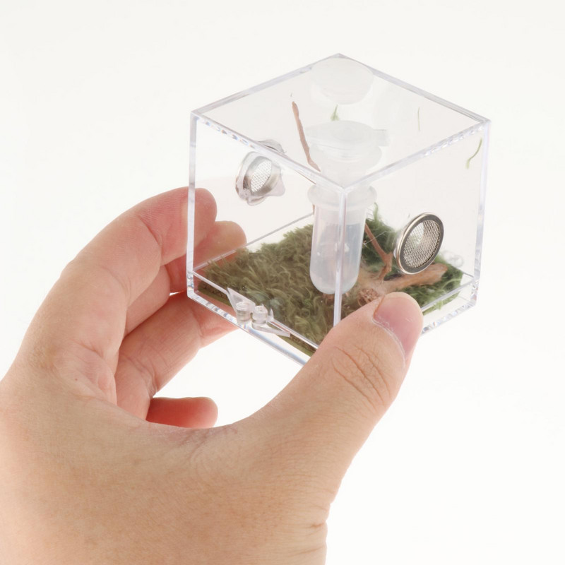 Cutie de hrănire cu respirabilitate, casă pentru plante și insecte, incubator cu disipare a căldurii, terariu pentru reptile păianjen pentru provizii pentru insecte