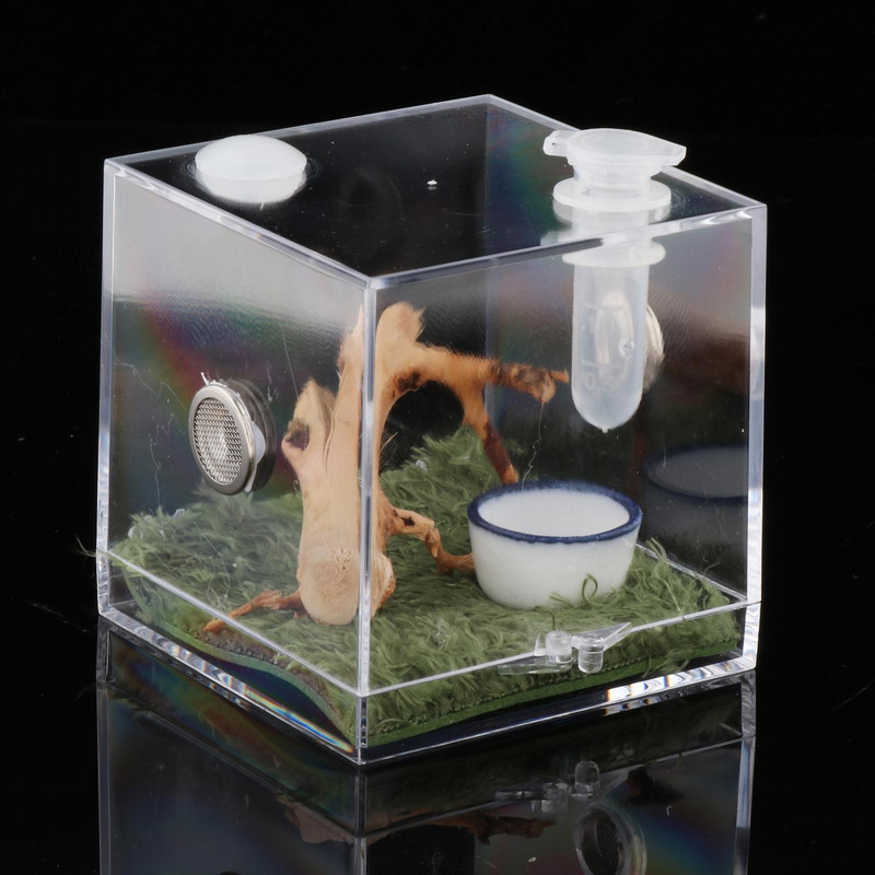 Cutie de hrănire cu respirabilitate, casă pentru plante și insecte, incubator cu disipare a căldurii, terariu pentru reptile păianjen pentru provizii pentru insecte