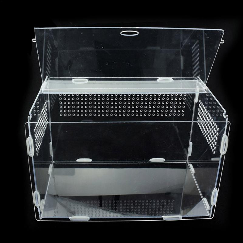 Reptile Breeding Box Acrylic Terrarium Feeding Box Διαφανές για Ζώα Reptile Pets Έντομο Spider Lizard Frog Pleasure Νέο