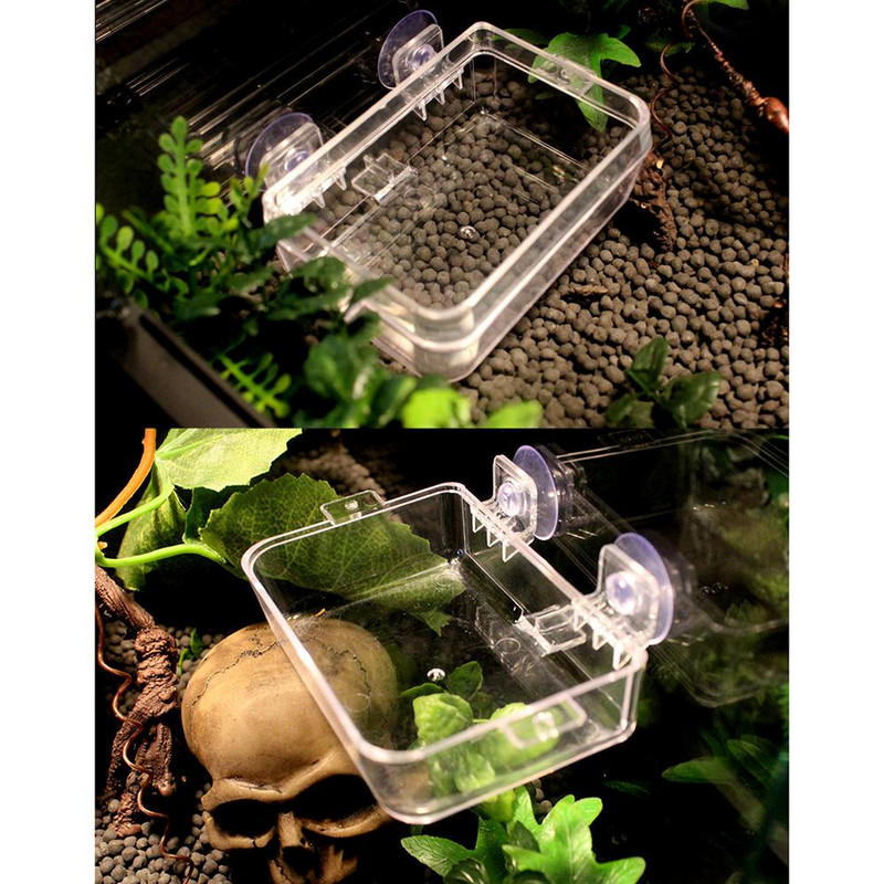 Διαφανής τροφοδότης ερπετών με βεντούζες Anti-escape τροφοδότης πιάτων φαγητού Μπολ Turtle Lizard Worm Feeding Snakes Δοχείο φαγητού