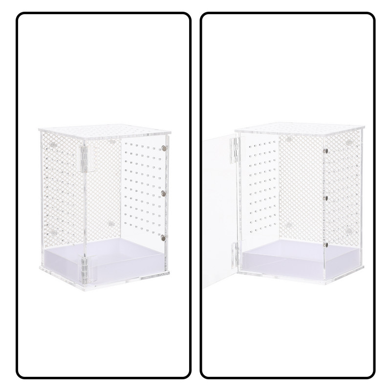 Kastikasvatuse ümbris Söötmismahuti inkubaator Putukate Roomajate Ämblik Tarantula Roomajad Terraariumipaak palvetav Akrüülgeko