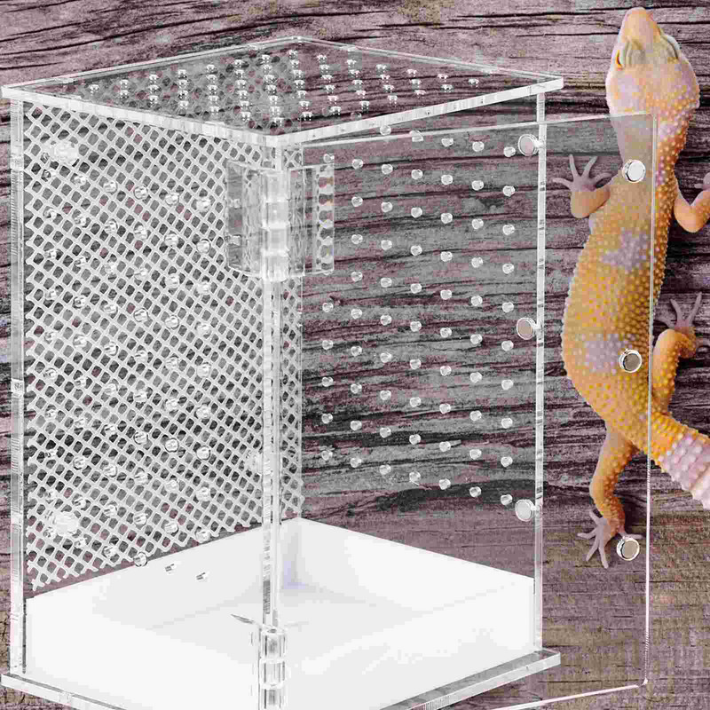 Kastikasvatuse ümbris Söötmismahuti inkubaator Putukate Roomajate Ämblik Tarantula Roomajad Terraariumipaak palvetav Akrüülgeko