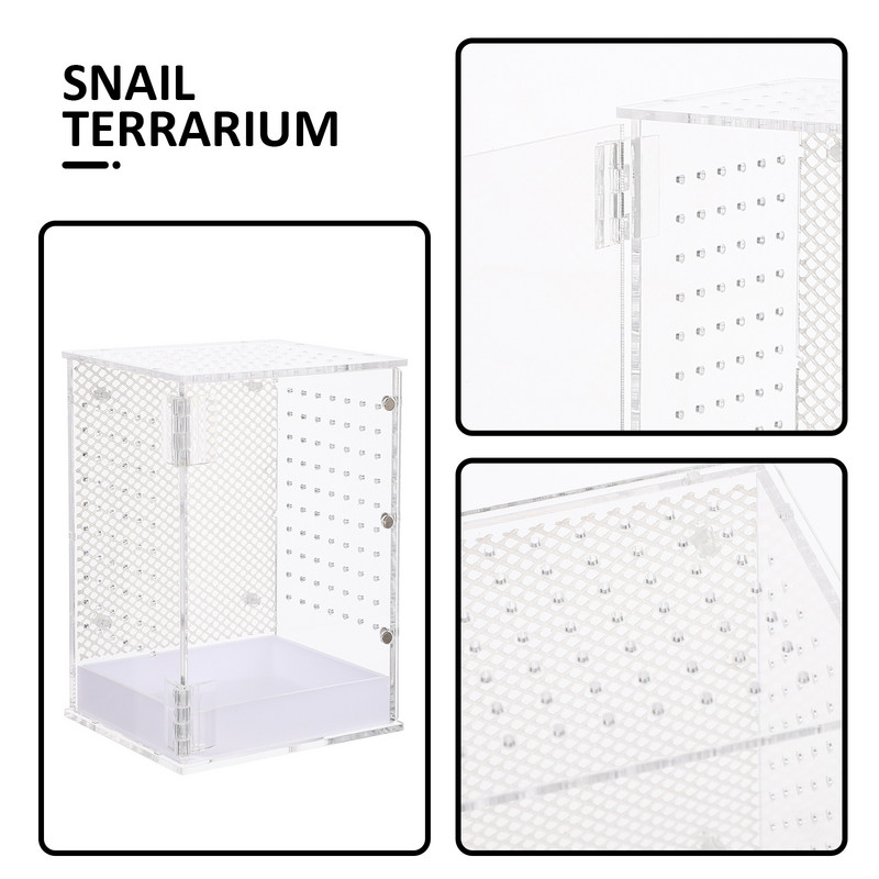 Kastikasvatuse ümbris Söötmismahuti inkubaator Putukate Roomajate Ämblik Tarantula Roomajad Terraariumipaak palvetav Akrüülgeko