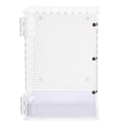 Kastikarbi kasvatamine Toitmine ämblik roomajate terraarium konteiner putukate inkubaator tarantli roomajad akrüültanki hüppamine