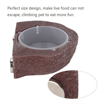 Пластмасова издръжлива купа за хранилка за влечуги за храна Ястие Тип окачване за инструменти за купа за гущер Хамелеон