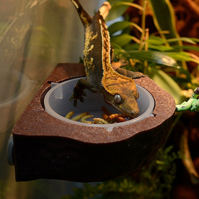 Πλαστικά ανθεκτικά ερπετά Μπολ τροφοδοσίας κατοικίδιων ζώων Τύπος ανάρτησης πιάτων για εργαλεία μπολ Lizard Chameleon
