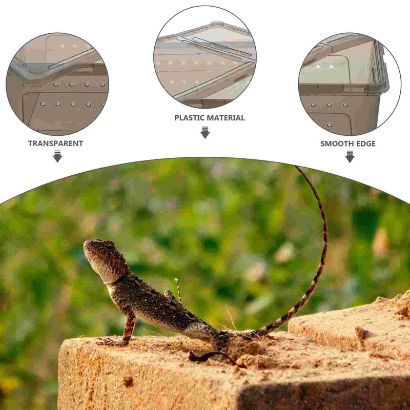 Cutie Terariu pentru reproducere reptile Cușcă pentru animale de companie Hrănitor pentru șopârlă Rezervor pentru hrănire țestoasă Carcasă pentru animale Serpe-păianjen Container Houseacrilic Insectă