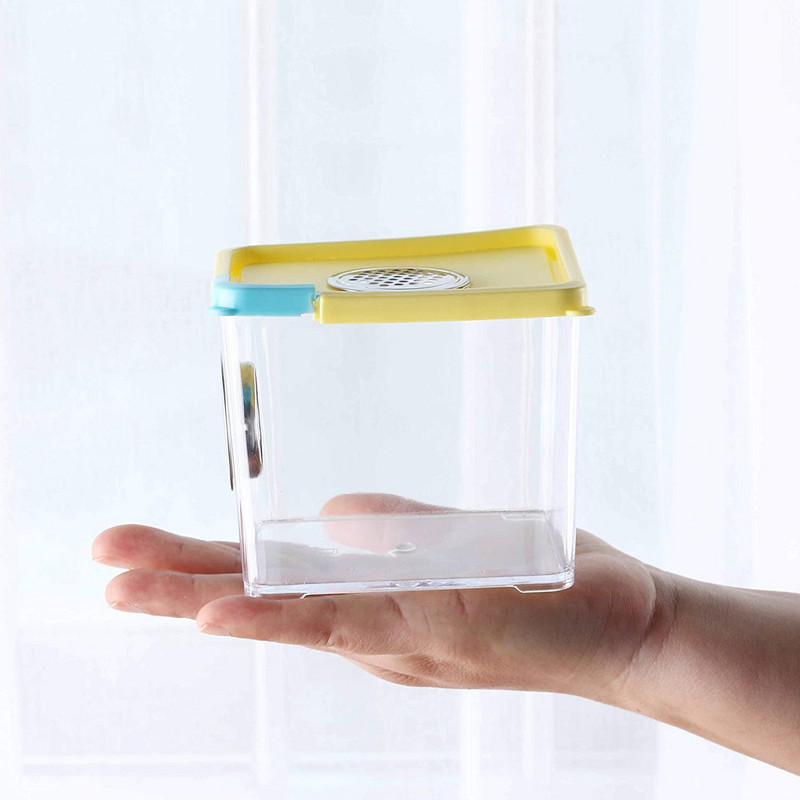 Habitat pentru insecte Cușcă Fluture Păianjen Mantis Sticlă Broasca Greier Cutie melci Captorul de insecte Respirabil în aer liber