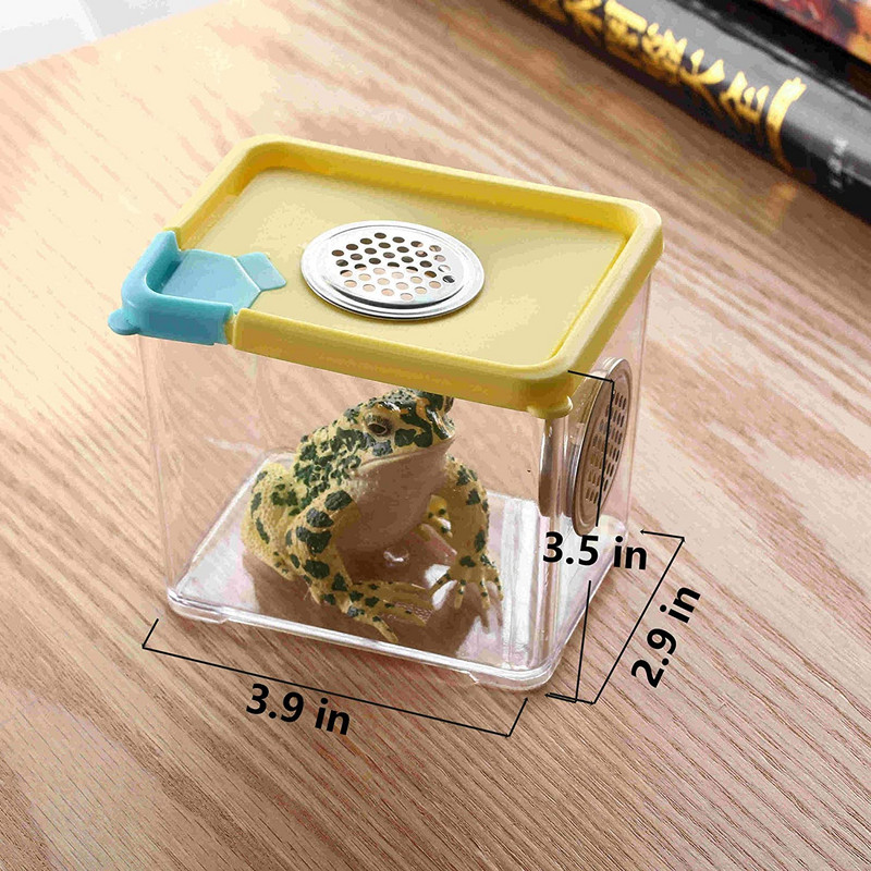 Habitat pentru insecte Cușcă Fluture Păianjen Mantis Sticlă Broasca Greier Cutie melci Captorul de insecte Respirabil în aer liber