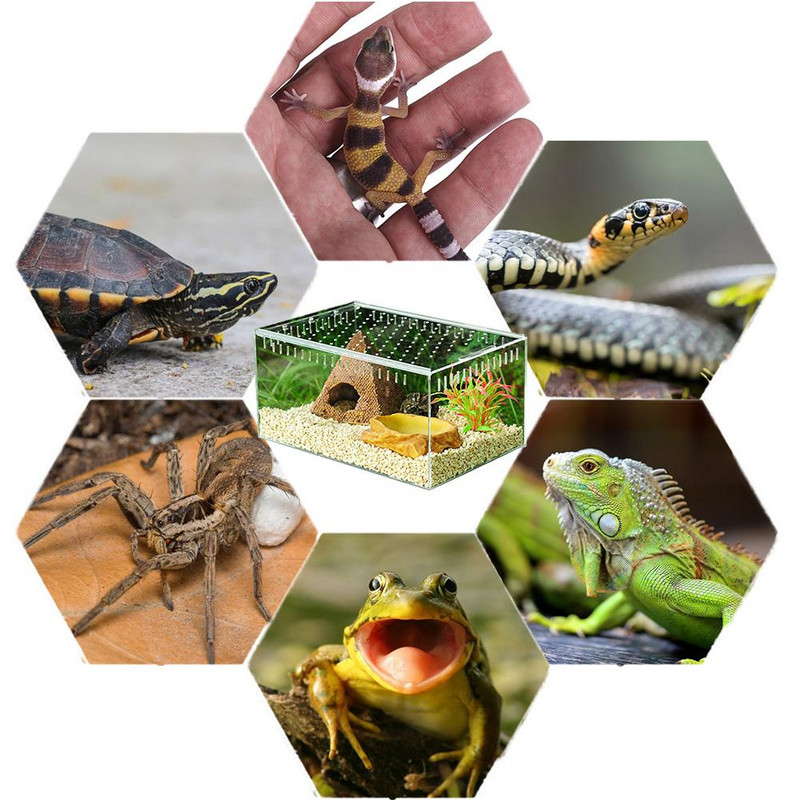 Kutija za uzgoj gmazova Akrilni prozirni klizni poklopac Spremnik za reptile Pauci za insekte Kornjača Kutija za hranjenje guštera Terarij