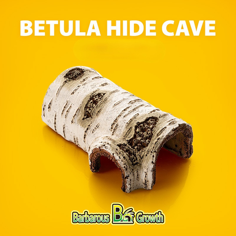 Roomajate peidus koobassimulatsioon koore terraariumi varjupaiga elupaiga kaunistusmaja lemmikloomade sisalikule kilpkonnale madu kameeleon erakkrabi