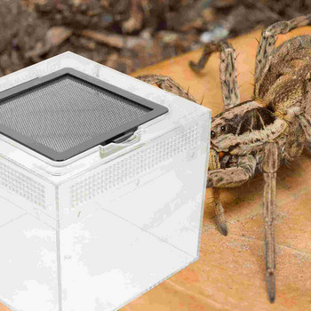 Κουτί Tarantula Habitat Cage Spider Enclosurehermit Containerbowl Cricket Crab House Carrier Αναπαραγωγή σαλιγκαριών Δεξαμενή Βάτραχος Γκέκο Φίδι