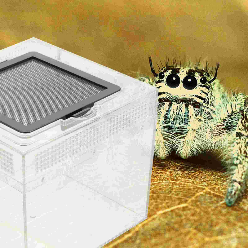 Cutie Tarantula Habitat Cușcă Păianjen Incinta Ermit Containerbol Cricket Crab Căsuță Căsuță Creștere Melc Rezervor Broasca Gecko Șarpe