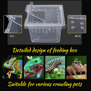 10 бр. Прозрачна кутия за хранене на влечуги Контейнер за насекоми Преносимо местообитание за размножаване