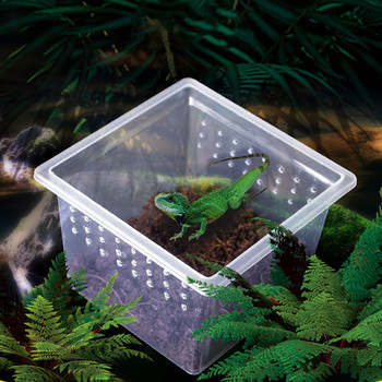 10Pcs Clear Reptile Feeding Box Insect Container φορητό βιότοπο αναπαραγωγής