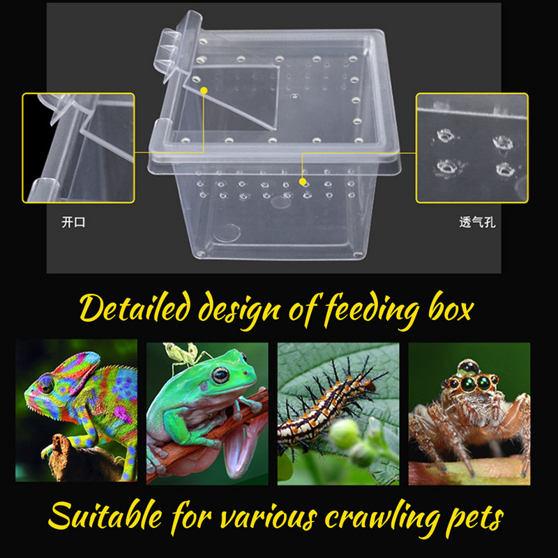 10 buc. Cutie transparentă de hrănire pentru reptile Container pentru insecte Habitat portabil de reproducție