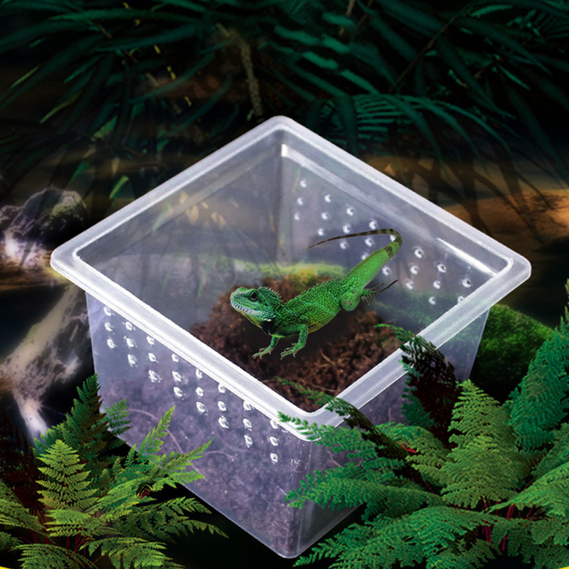 10 buc. Cutie transparentă de hrănire pentru reptile Container pentru insecte Habitat portabil de reproducție