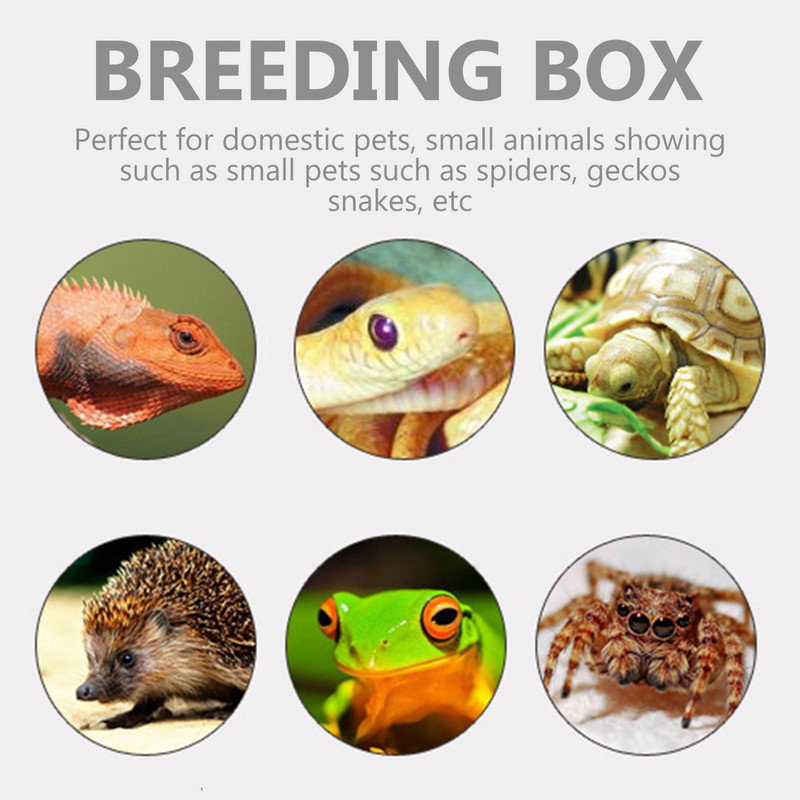 Box Habitat Tarantula Cage Enclosure Reptile Spider Feeding Terrarium Breeding Snake Tank Container Cricket Bowl House Crab