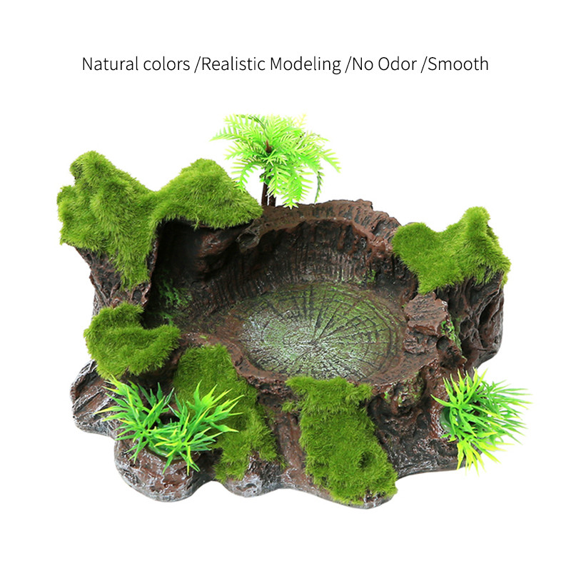 Τροφοδότης ερπυστριοφόρος κατοικίδιο ζώο Μπολ Λεκάνη ρητίνης Μη τοξική γλάστρα για τρόφιμα με νερό ερπετό χελώνα Scorpion Lizard Gecko Decor Αξεσουάρ για κατοικίδια