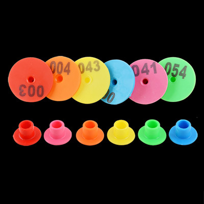 30 vnt. avių triušio ožkos kiaulės ausų įsagas su žodžiu ausis spausdinant lazeriu vario galvutės auskarai 6 spalvų ūkinio gyvūno identifikavimo kortelė