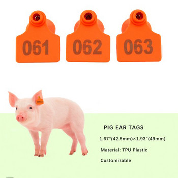 Животновъдни консумативи Етикети за уши за свине Ушни етикети за селскостопански животни Пластмасови TPU идентификационни етикети за крави Говеда Кози Овце 50 бр.