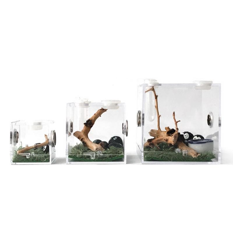 S/M/L zirnekļa rāpuļu terārijs akrila rāpuļu audzēšanas kaste terārija piederumi kukaiņu kaste zirnekļa kriketa gliemežu tarantulai