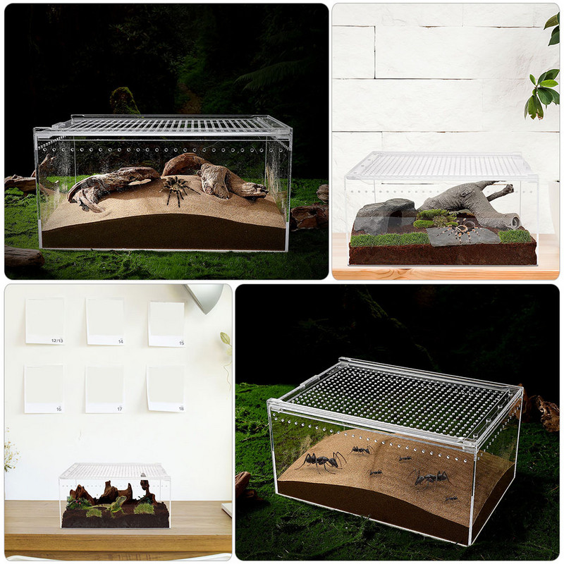 Δημιουργικό περίβλημα τροφοδοσίας Κάδος τροφοδοσίας αράχνης Spider Incubator Πρακτικός κάδος τροφοδοσίας για κατοικίδιο ζώο Tarantula Spider